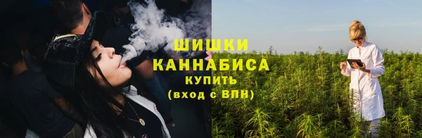 шишки Лиски